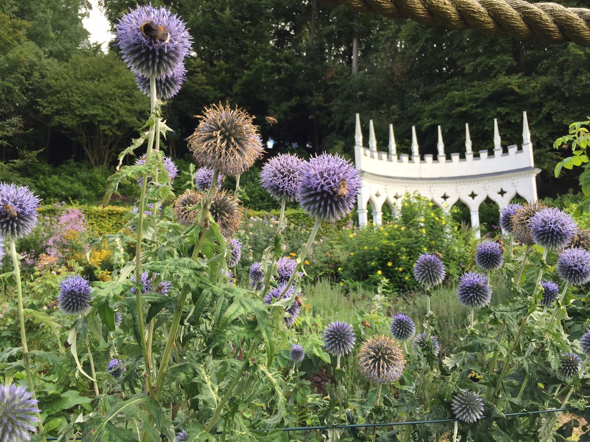 CotswoldsConcie's tweet photo. It's our #SummerOf17 #Staycation in the Cotswolds and we just went to visit the surprising Painswick @RococoGarden: https://t.co/K8xFyFbgtt https://t.co/prhtyliSZZ