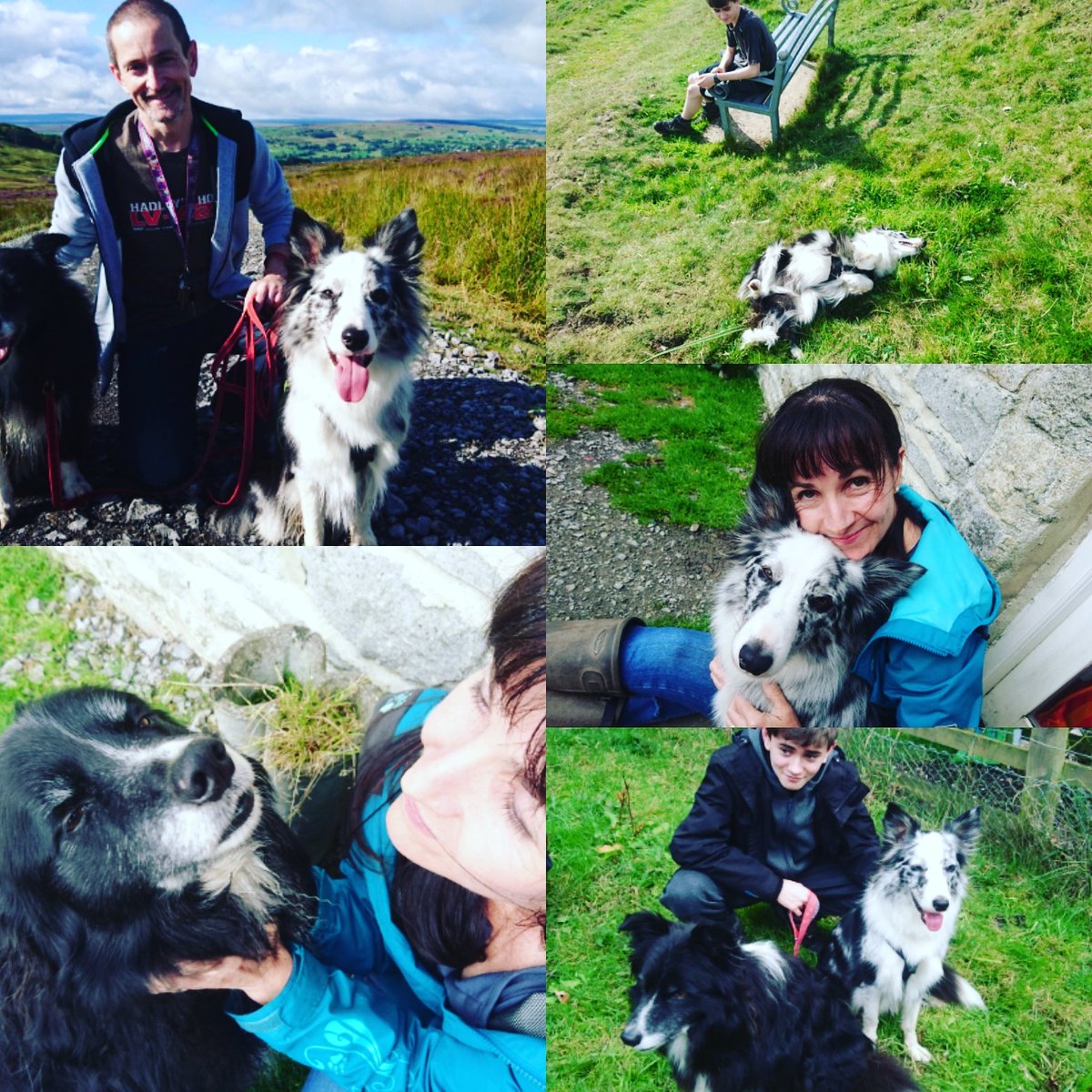 jopaydogtrainer's tweet photo. Work life balance, Dog Trainer holiday 
#jopaydogtrainer
#Yorkshireholidays https://t.co/XXaOkOGEdn