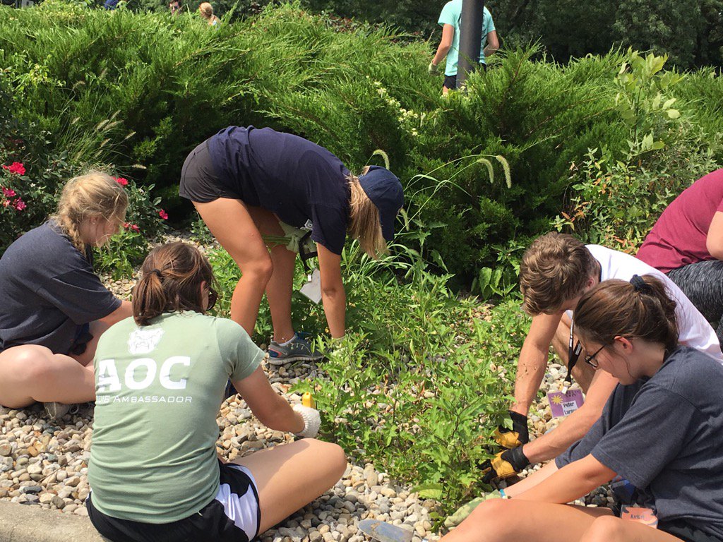 MyNobleLife's tweet photo. @MyNobleLife so grateful to our Butler volunteers. Braving the heat to weed the gardens. #AOCBU https://t.co/Xt69bIJP0j