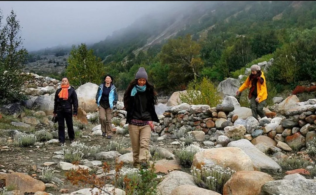 SimranHoliday3's tweet photo. #Himalayas #NorthIndia #Panchkarma #Retreats @20% off #SimranHolidays https://t.co/n3k1Wp2unU