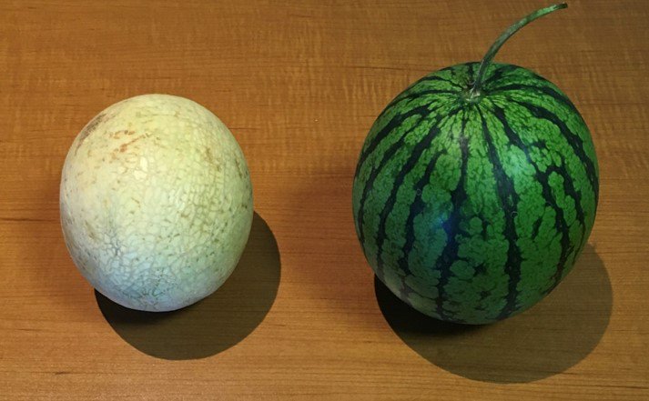 HectorHli's tweet photo. Nouveaux produits en inventaire
Cantaloup du Québec code 4106 et melon d'eau du Québec code 4316
Très sucré!
Parlez-en à votre représentant! https://t.co/8ZJVW0xQCf