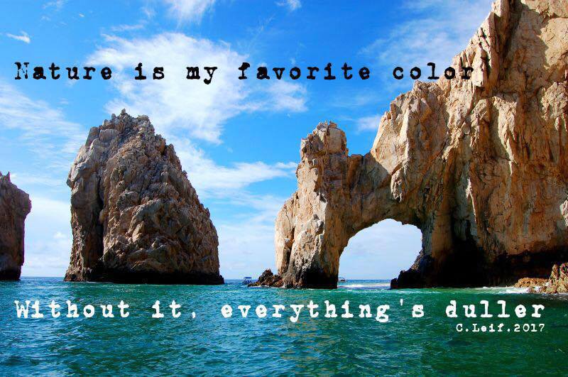 Arki_Chick's tweet image. 