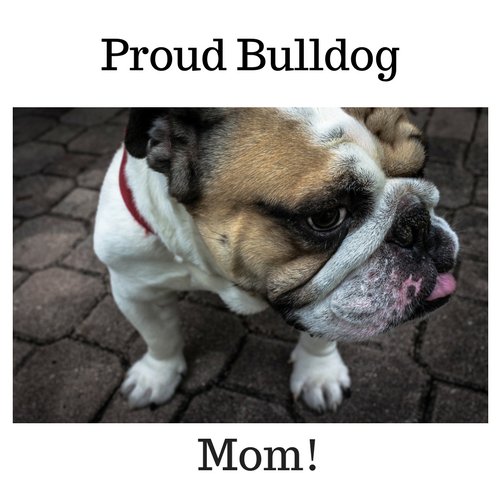 roversroof's tweet photo. #bulldoglove https://t.co/D9vD9nisEM