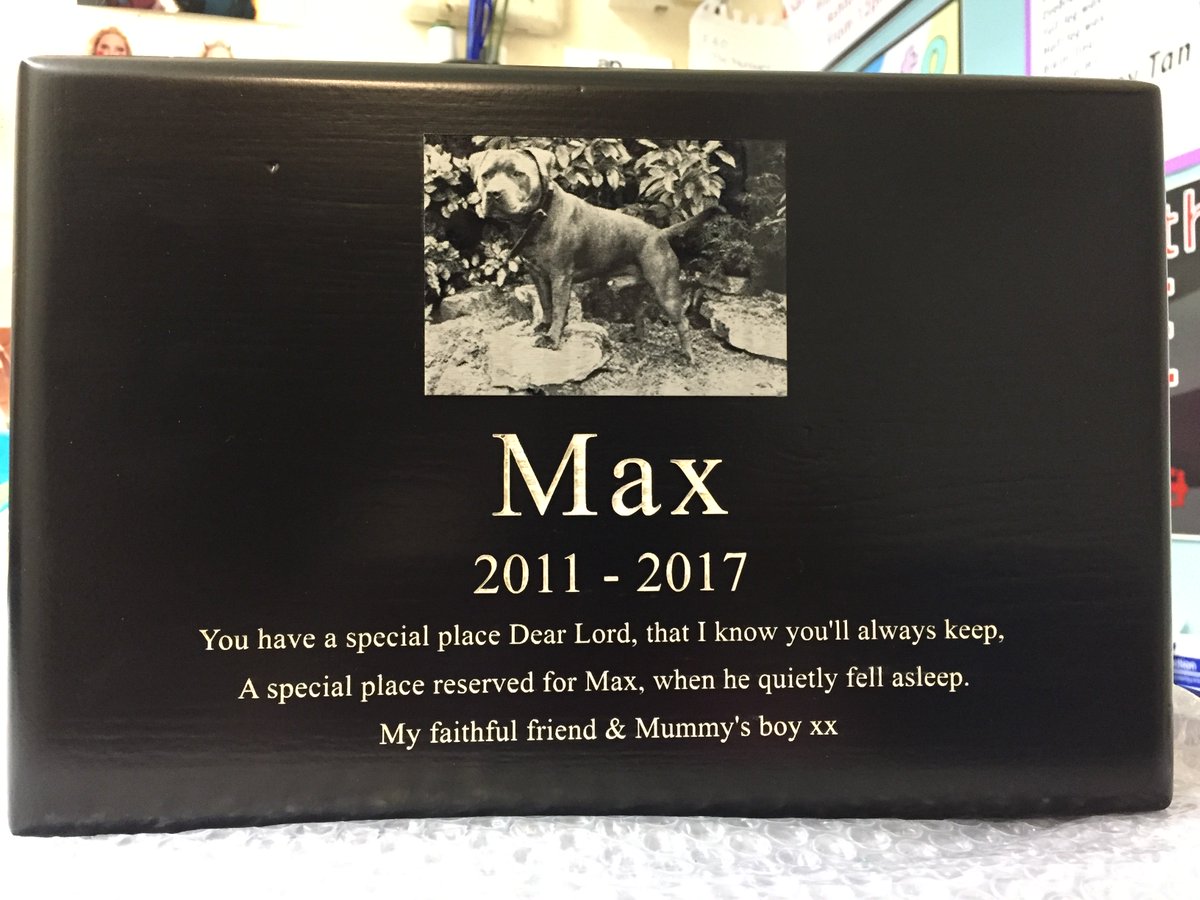 Max Spielmann Ashton tweet media