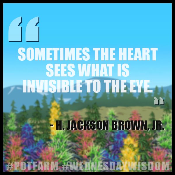 Here's some #WednesdayWisdom for you all! #PotFarm #Advice