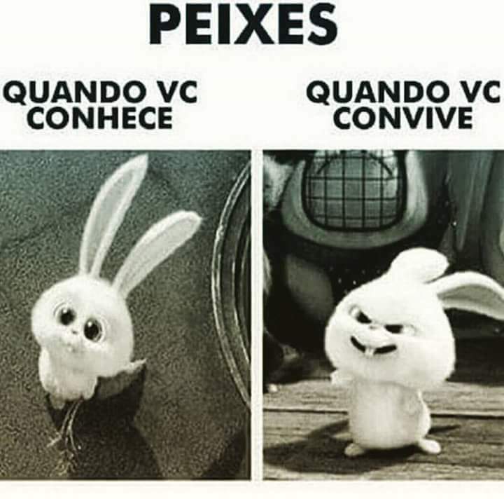 #TIMBETA #YASNAIA (@de_yasnaia) on Twitter photo 