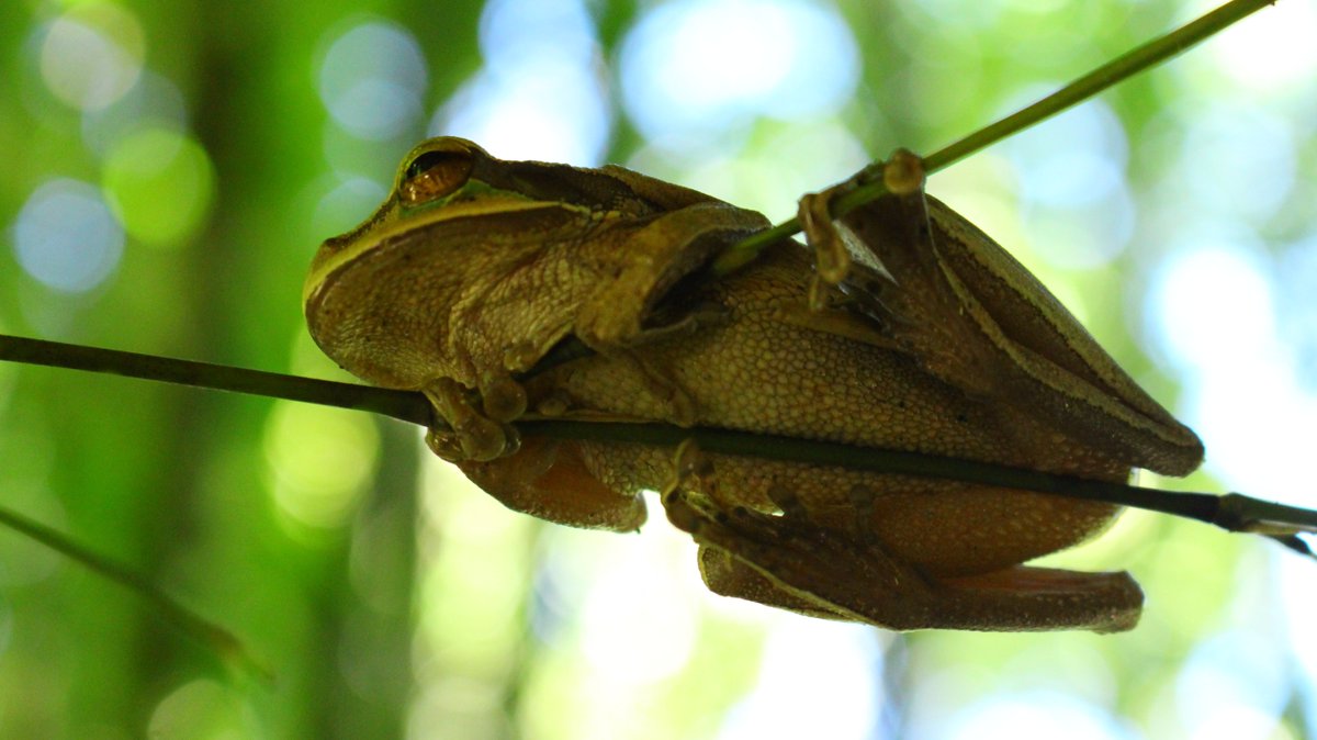 experience_Nat's tweet photo. La Naturaleza no nececita idioma para hacernos saber que es hermosa!!

#SanRafael #Naturaleza #UnicoPorNaturaleza #SanRafaelBiodiverso https://t.co/epu4gPv70o