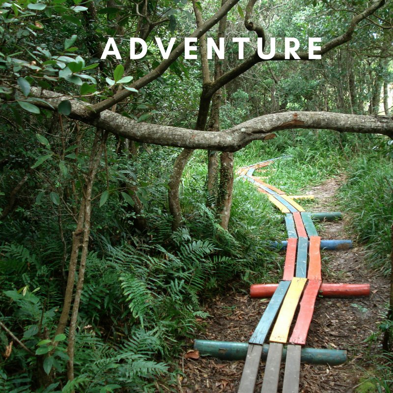 I want ADVENTURE in the Great, Wide…. whatsuzsees.com/i-want-adventu…