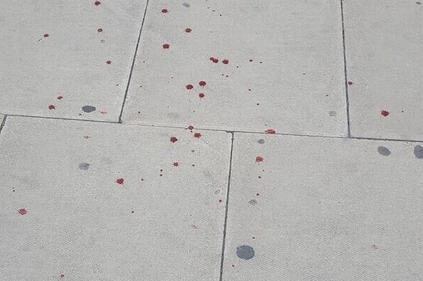 This chap kicked his dog in the face until it bled. #Toxteth #Liverpool Pls RT to identify chap &amp; make sure the dog is safe <a href="/RSPCA_official/">RSPCA (England & Wales)</a>