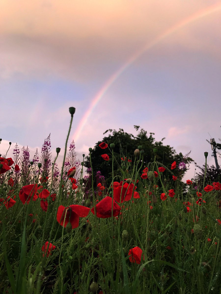 PSNIBelfastW's tweet photo. Tennet St NPT on the ground. What a sight!! #rainbow #wildflowers #dunboyne #SpringfieldRd #strangeskys @barrabest SgtW https://t.co/2AEdMULjc1