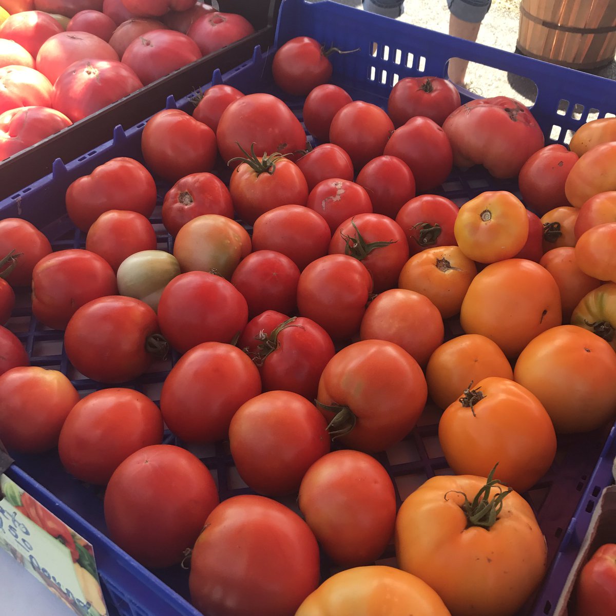 JUNCTI0N_CITY's tweet photo. Farmers markets give farmers a place to sell their healthy produce and educate shoppers! 3-6pm today at Junction City Shopping Center ! 🌽🥕🍅 https://t.co/Q9y75gsmcw