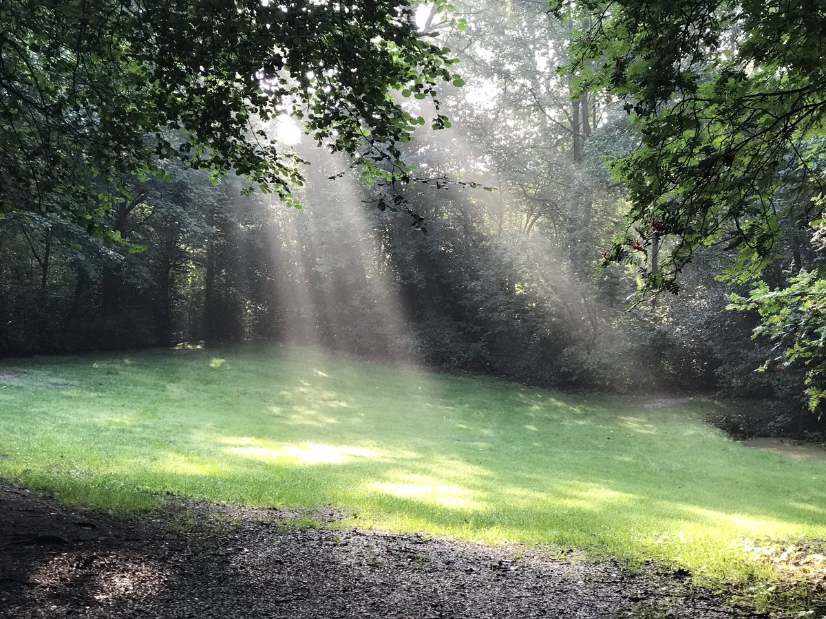 Openluchttheater Leidse Hout beschikt vandaag over natuurlijke schijnwerpers. #leiden #Oegstgeest <a href="/OLTLeidseHout/">OLT Leidse Hout</a>