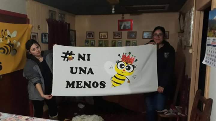 sosABEJAS's tweet photo. Ni una menos #mujeresapicolas @sosABEJAS @bedascarrasb @FAmigosAbejas https://t.co/4UbCUeNBqd