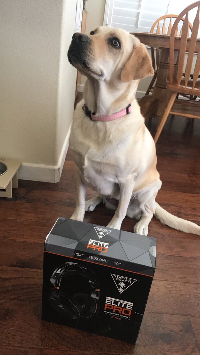 Attach's tweet image. Giving away this Turtle Beach Elite Pro headset! RT this tweet, tag 2 friends and follow to be entered! Winner will be chosen on August 31st