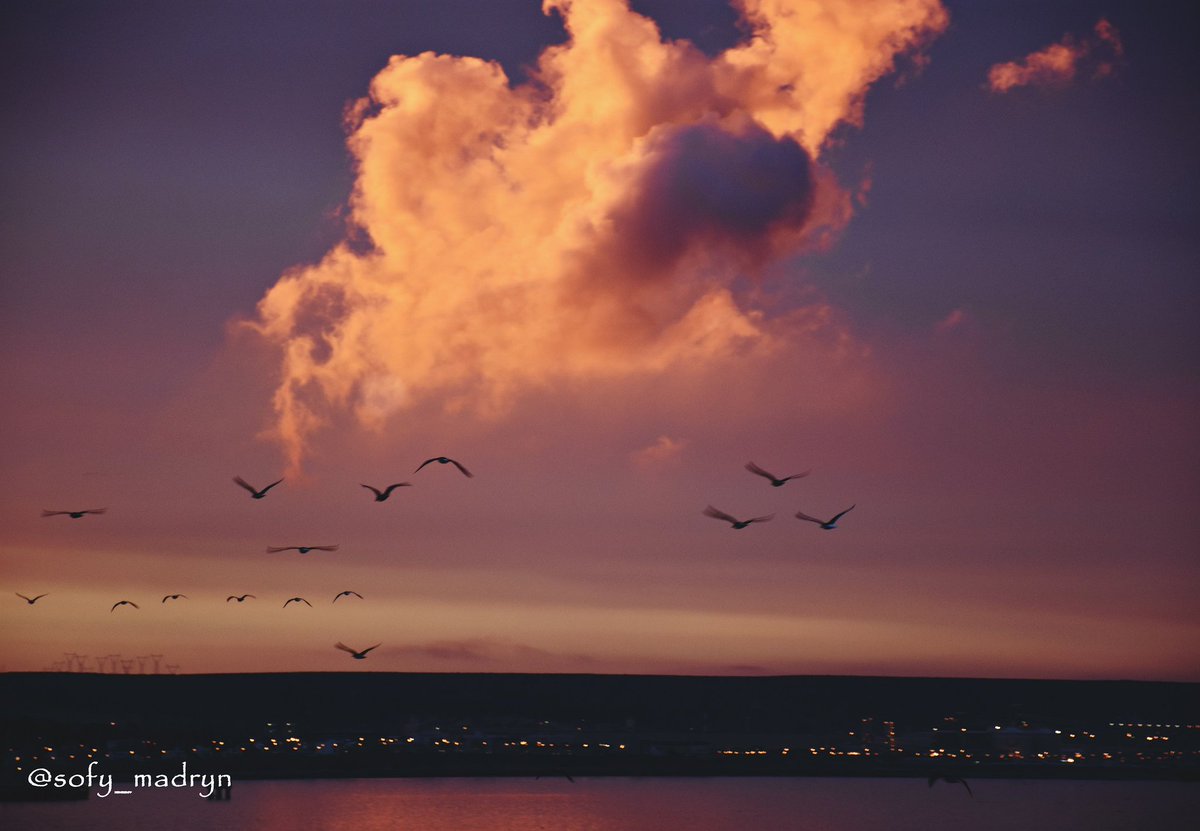 Cielos de invierno: atardecer en Puerto Madryn 😍 #PatagoniaQueEnamora #agosto
PH: <a href="/Sofy_Madryn/">Yo La Peor De Todas® 🇦🇷</a>