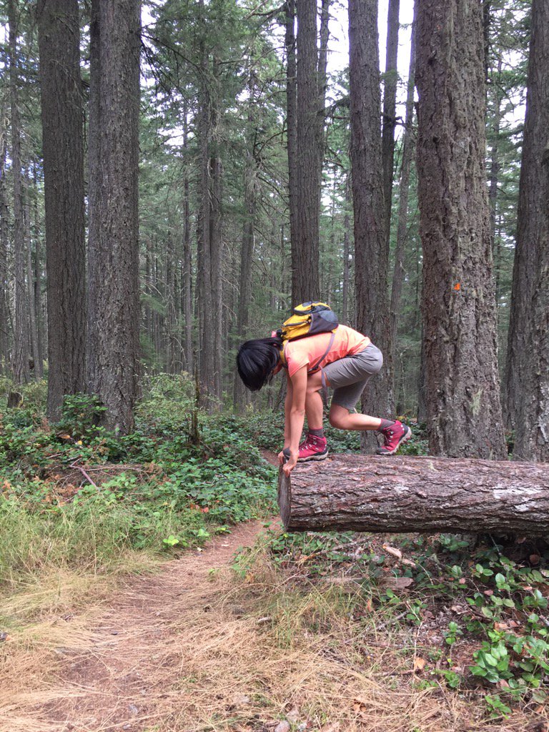 MsJulieChan's tweet image. #Swimmer in off-season. #missingthepool @tscswimming