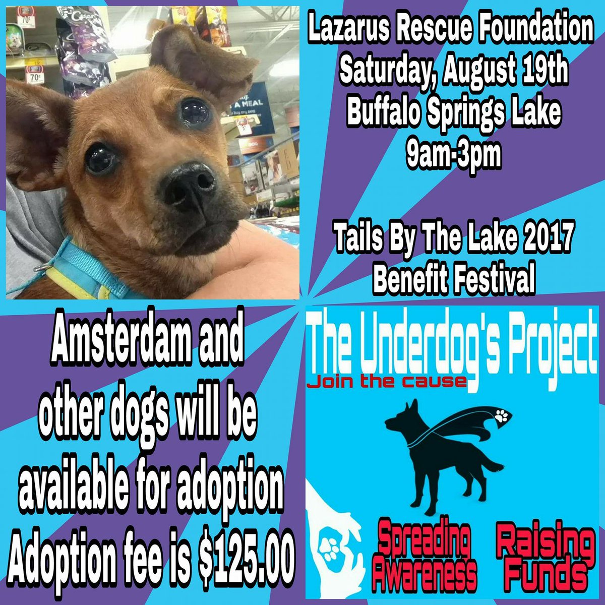 Underdogs_LBK's tweet photo. You just mind find your new best furfriend Saturday. Stop by the @LazarusRescue from 9-3pm! https://t.co/iMCEjirXOU