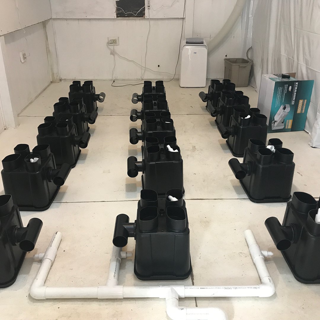 slucketbuckets's tweet image. #Slucket #Posiflow installs with a screwdriver. SlucketBuckets.com

#rdwc #dwc #weedporn #shatter #dank #kush #hightimes #highlife #mmj