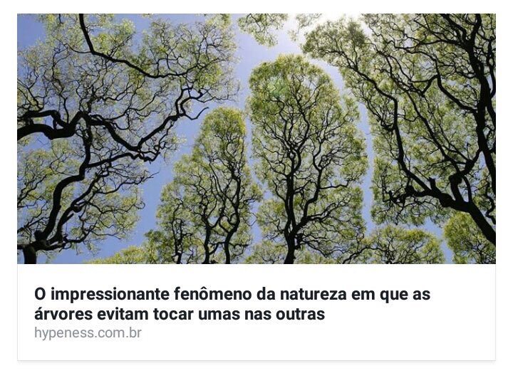 até as árvores entendem q nao precisam falar tocando umas nas outras, aprendam aí seres humanos