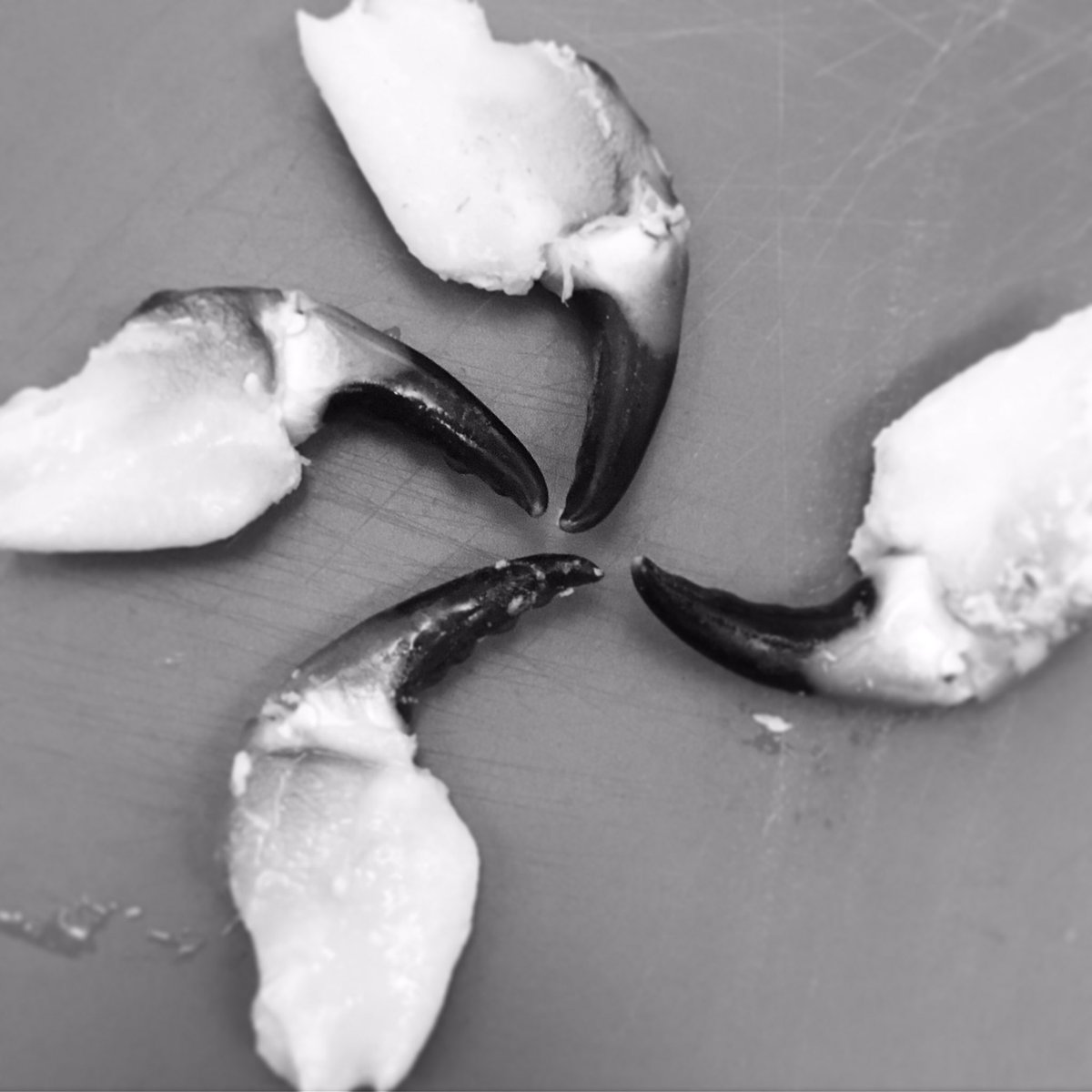 TearoomThe's tweet photo. Special Tomorrow - while it lasts #orkneycrab https://t.co/rLPJuc0s1g