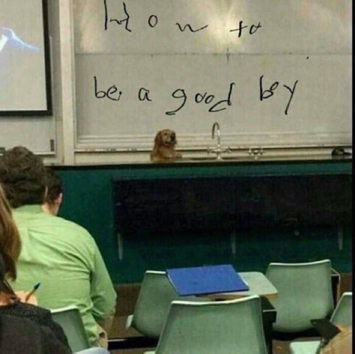 TheFunnyWilson's tweet photo. man im glad i came to my lecture today https://t.co/rGHNLIpTId