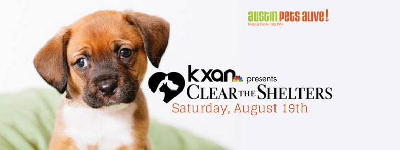 austinpetsalive's tweet photo. We are participating in #ClearTheShelters with @KXAN_News Saturday &amp; all adoption fees will be waived. Come adopt! https://t.co/mGnYP6vwMz https://t.co/049bAdOWb6