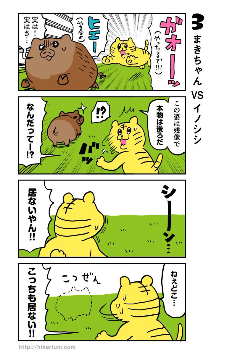 【1話 3/12】まきちゃんVSイノシシ
#とらのまきちゃん 