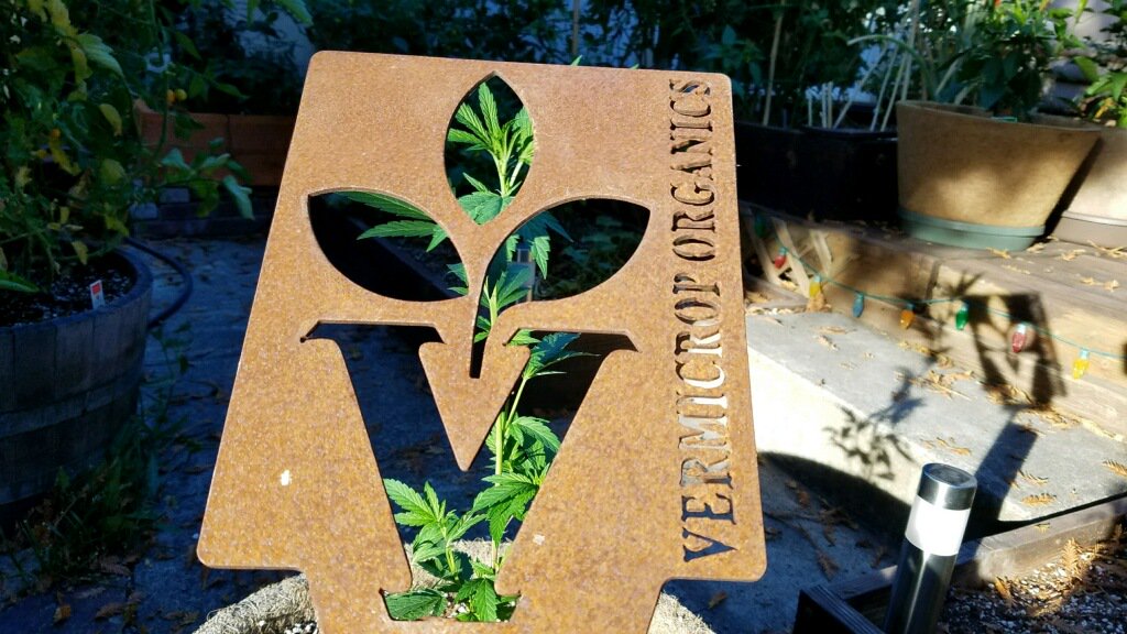 Vermicrop Organics tweet media