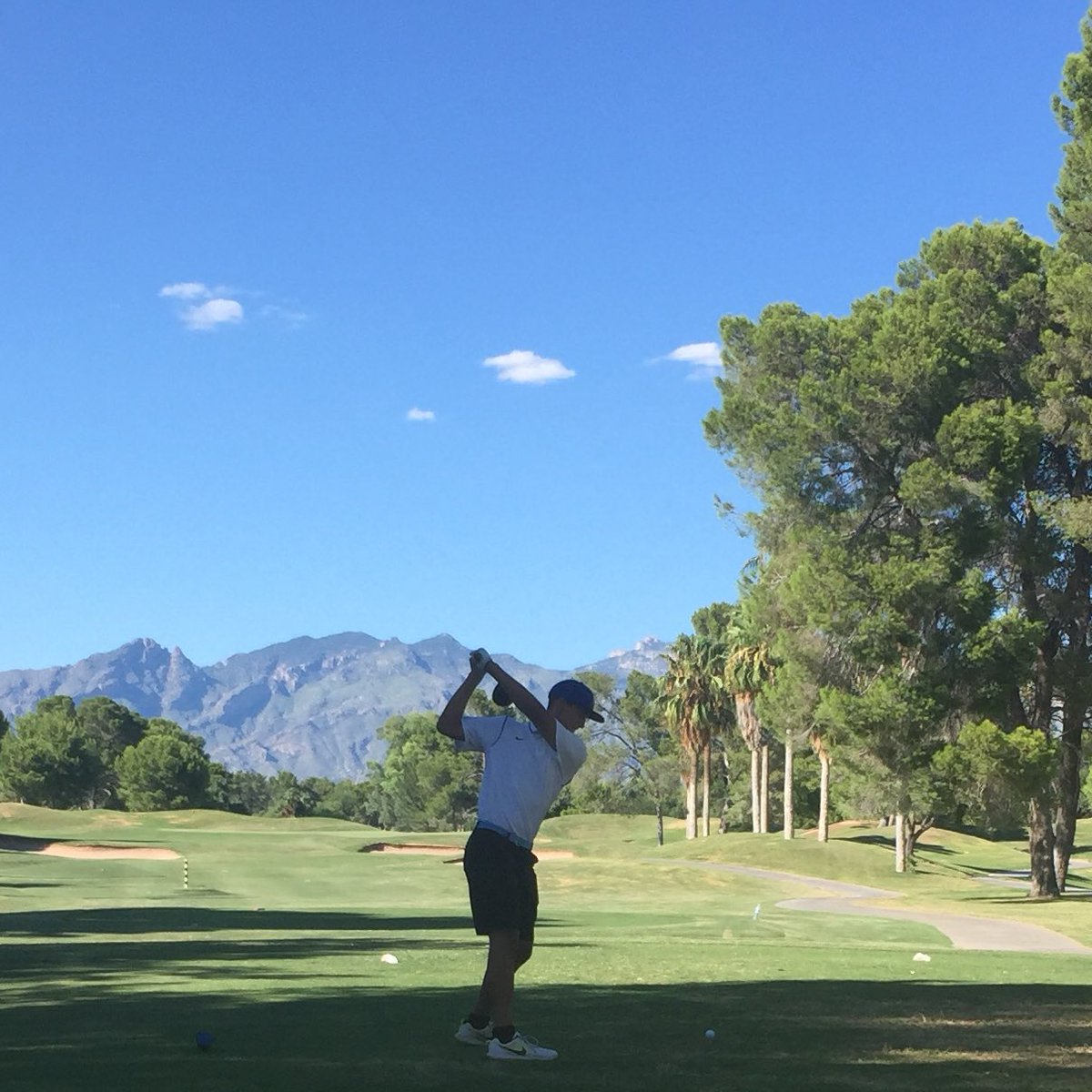 blue_devil_golf's tweet photo. Senior @gabe_rosty13 drives the green on #4 at Dell Urich. https://t.co/TKaT1FqCjk
