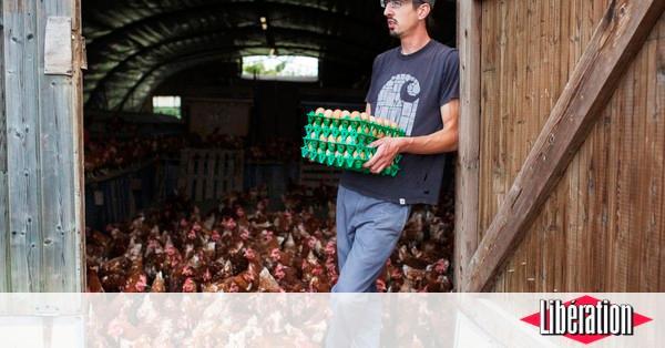 libe's tweet photo. A Vezin-le-Coquet, on caquette éthique https://t.co/gOJK8ITwd1 https://t.co/4EtVlYPIMA