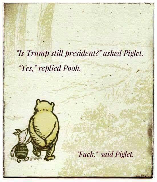 sandcodesigns's tweet image. Dump Mr Trump