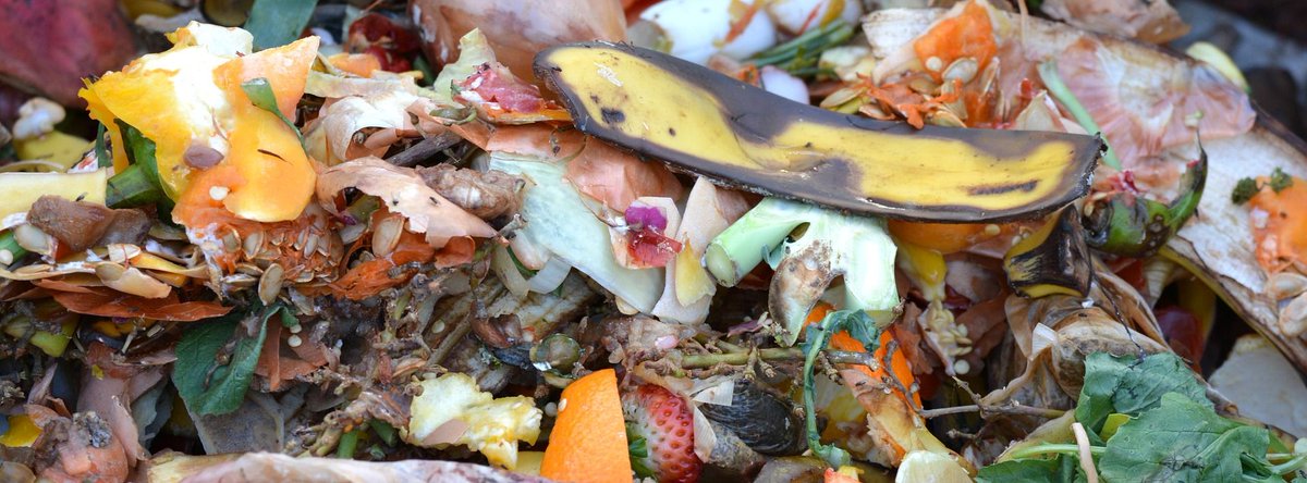 TrueWestCompost's tweet image. Tonnes of compostable waste ends up in the wrong place. We've got a post to help you figure out what to #compost buff.ly/2vJeLg4