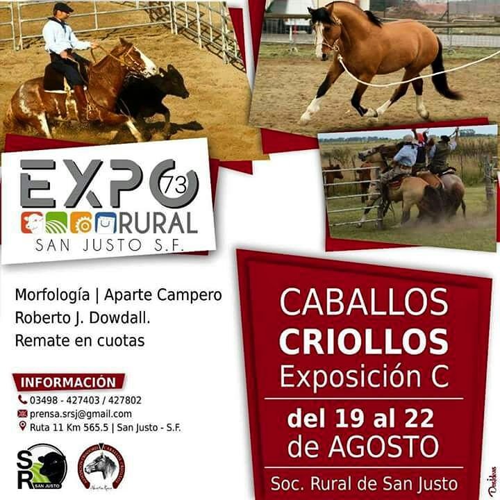 info_caballos's tweet photo. https://t.co/Nj5ljMwbcp