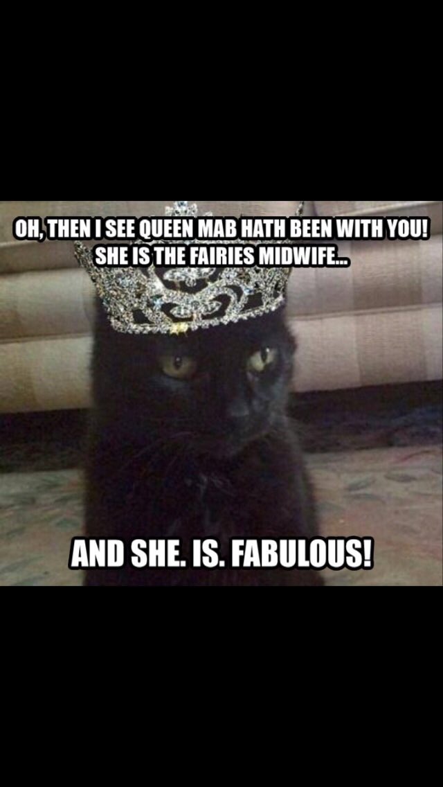 ShakespeareCat1's tweet photo. #BlackCat #Shakespeare #WhiskersWednesday #MSND #RomeoandJuliet #Fabulous #nationalrelaxationday https://t.co/KkMh37nfMm