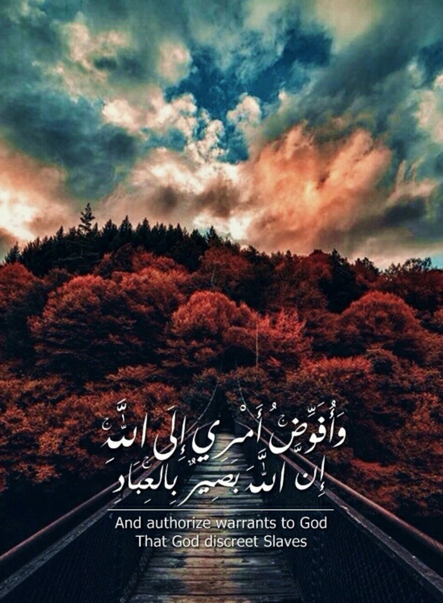MB_SH3 tweet picture