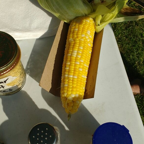 The 🌽 was wonderful at the Rolston Corn Roast at Captain CORNelius park! Great times meeting neighbours! #rolston #community #cornroast