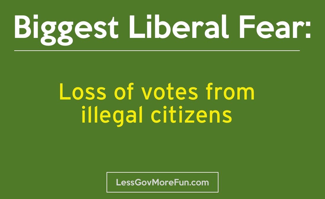 LessGovMoreFun tweet media