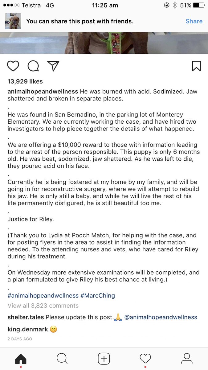 IsabellaLFiori's tweet photo. People are so fucked I actually hope the person who did this suffers 100x more than this puppy had to https://t.co/UVQzDGppX9
