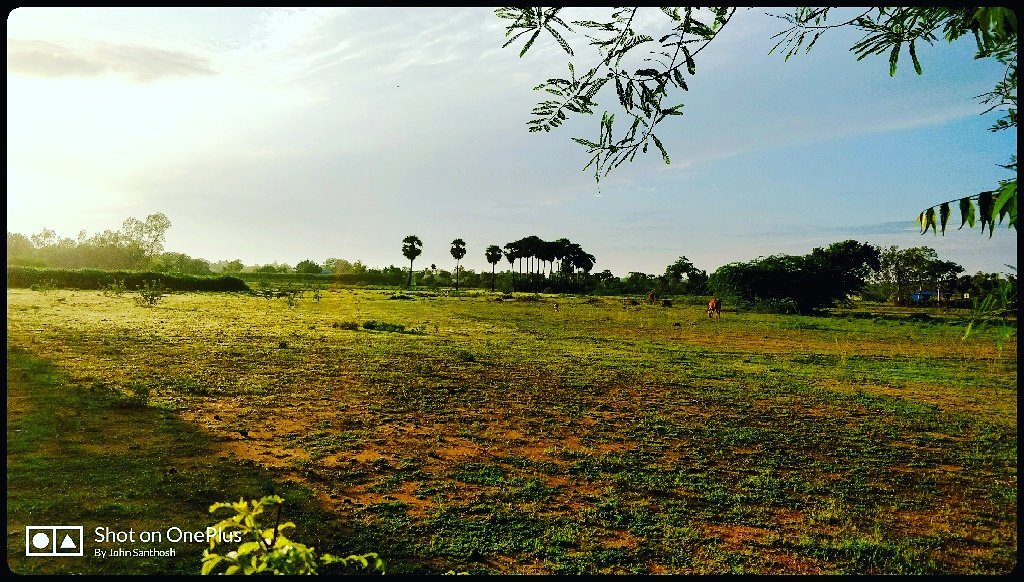 Tamil_Today's tweet photo. Gud Morning Friends #MyNativePlace https://t.co/a4u0ExWKNs