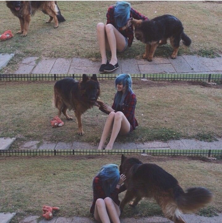 "I would love to drown in dogs."