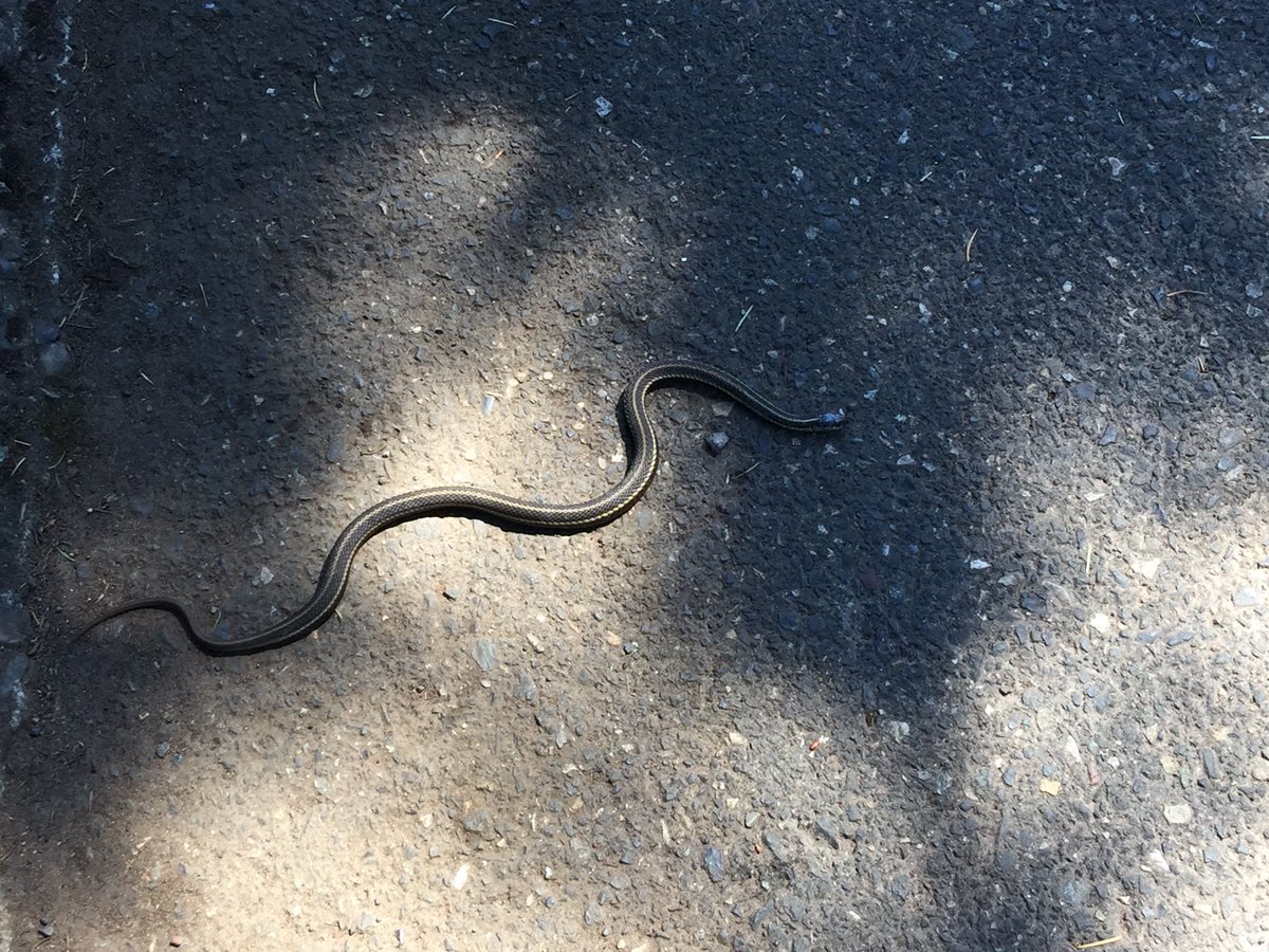 MagyarGeologist's tweet photo. Had a great time at #IAVCE2017 mid week trip to #Columbiarivergorge https://t.co/ixZPi7V7YM