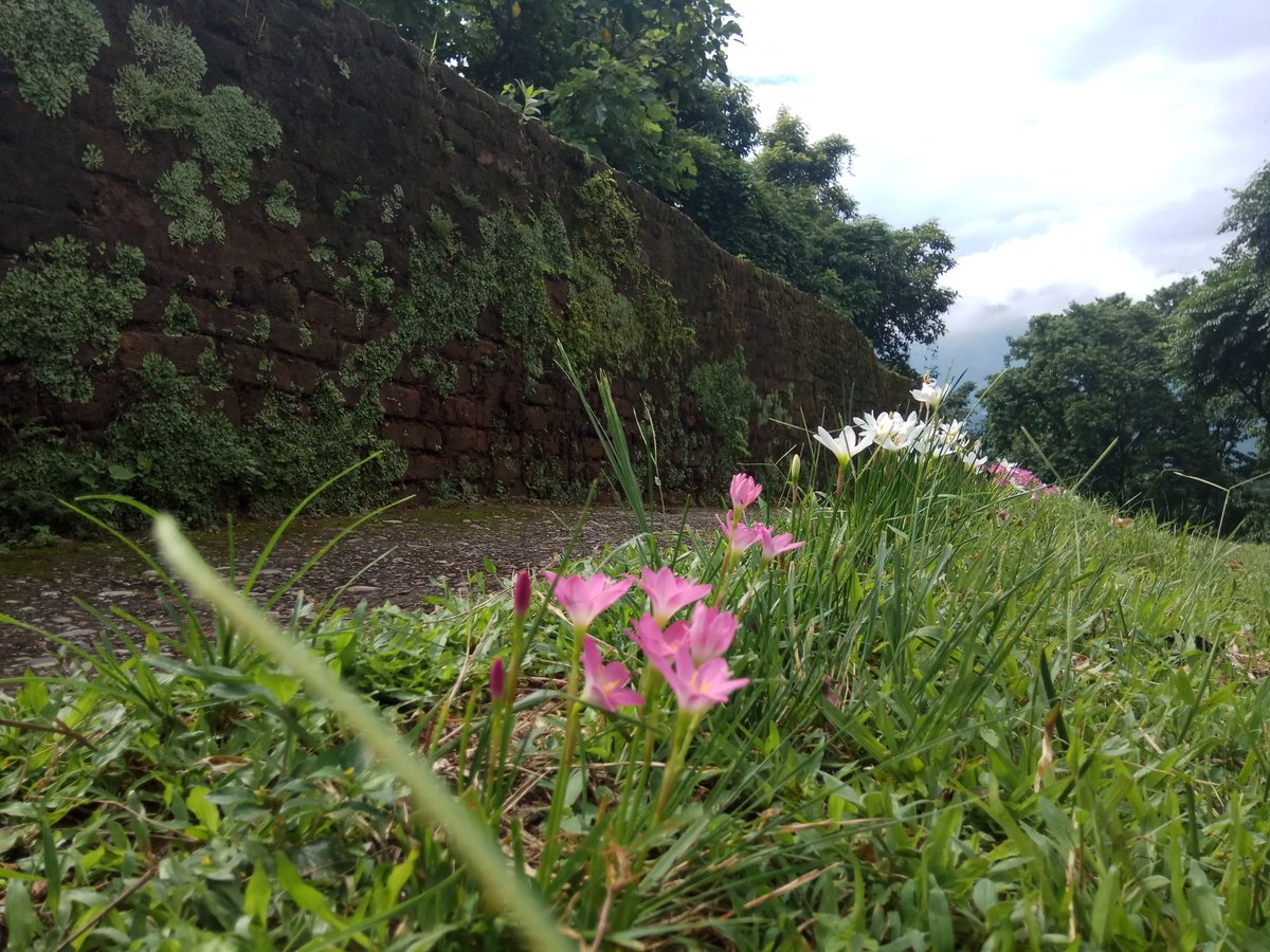 gangmeijn's tweet photo. Remaining portion of #Itafort #Itanagar derived from it #ArunachalPradesh https://t.co/y9hsCwv9Pn