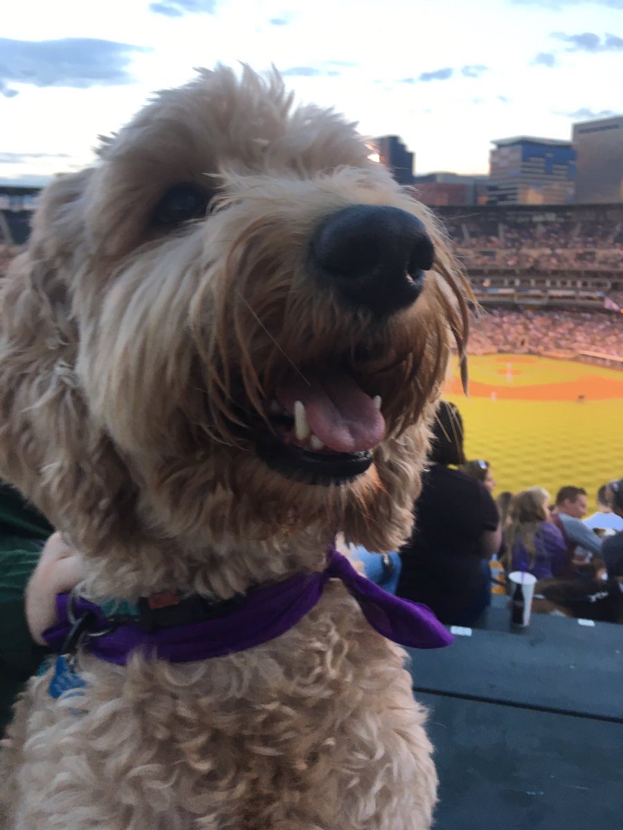 Dog_Named_Lily (dog_named_lily) Twitter