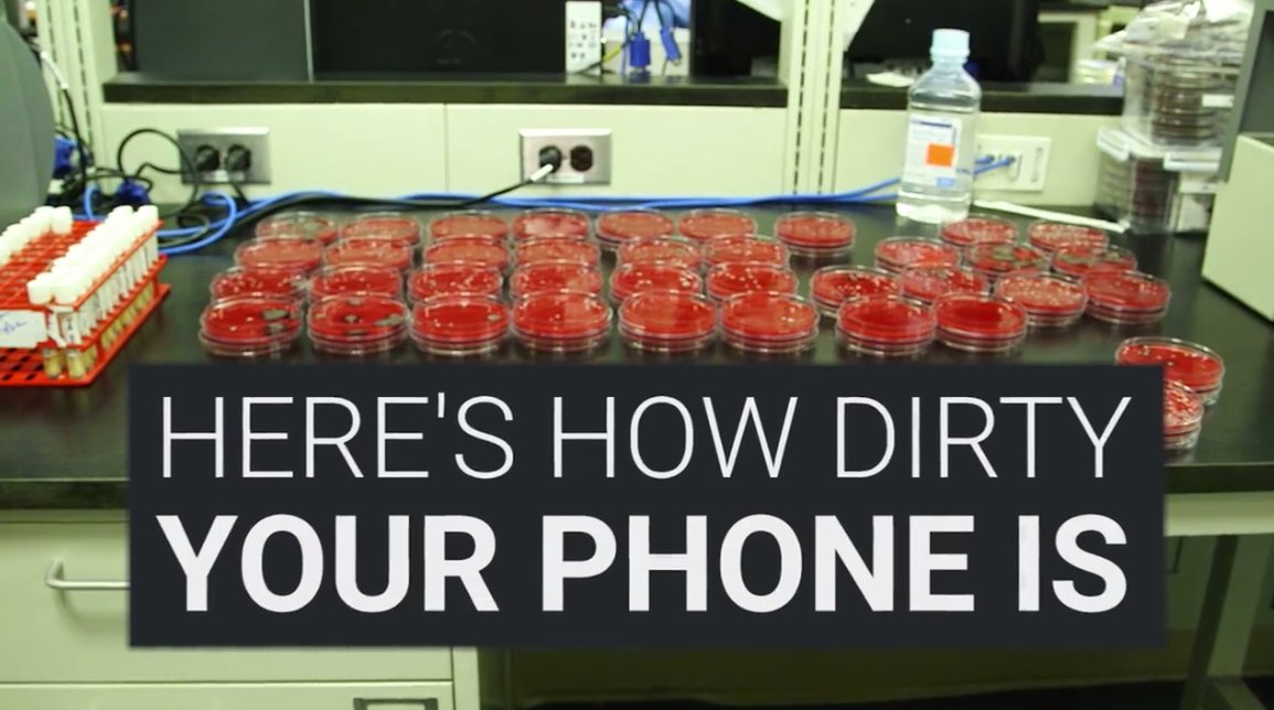 ConcytecPeru's tweet photo. ¡Mira todas las bacterias y gérmenes que se pueden encontrar en los smartphones! 📱👩‍🔬 https://t.co/Cw5EGacHZR Vía @techinsider https://t.co/pNRxSpvYpB