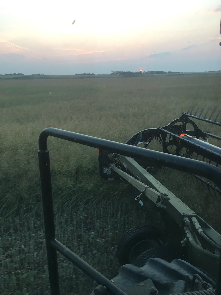 _GMunholland's tweet photo. Very impressed with the L233... dead ripe pods and I don't think it would shell if you beat it on the truck hood https://t.co/jc5yG0PR7l