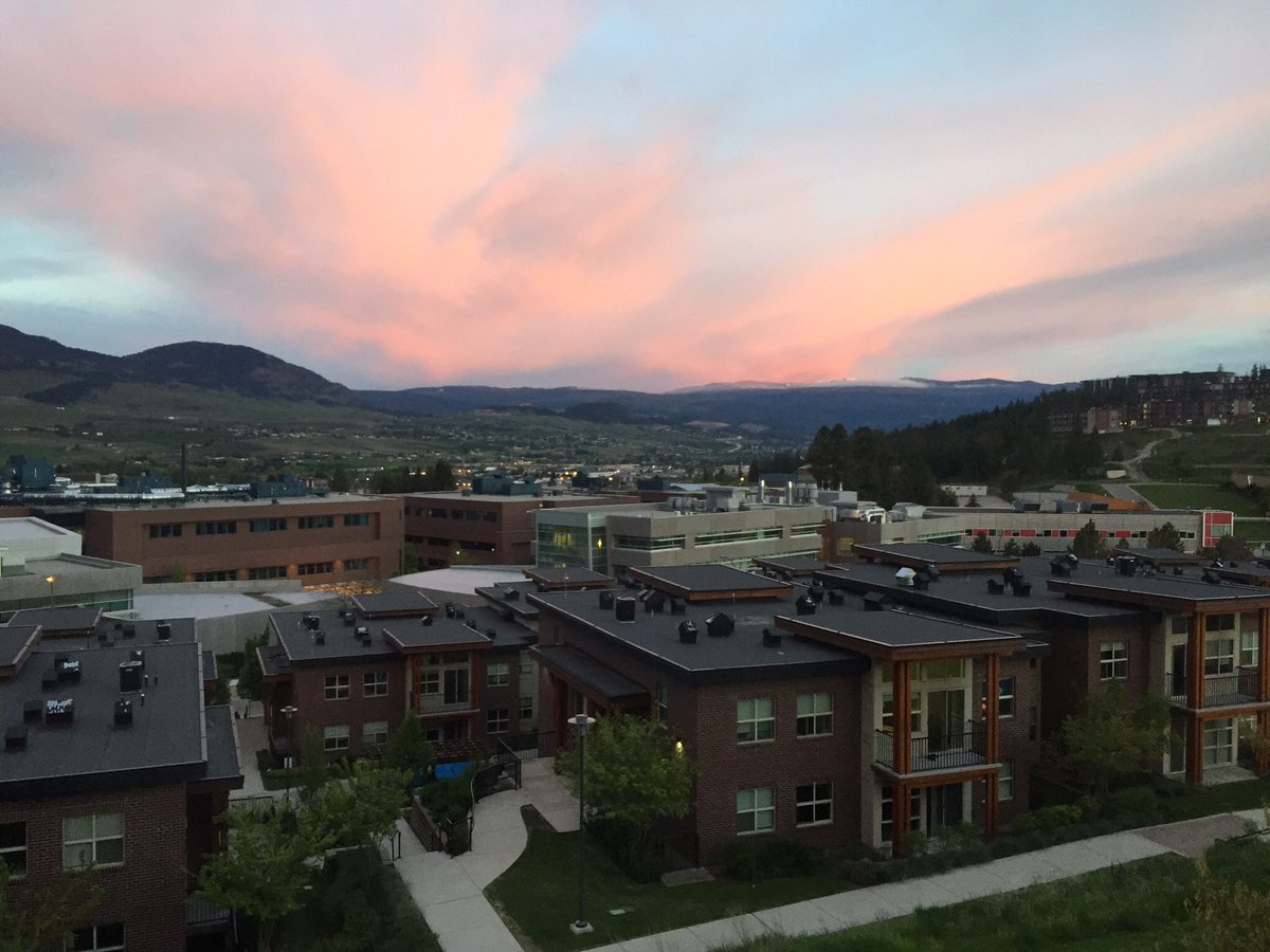 Jake Rowbotham tweet media