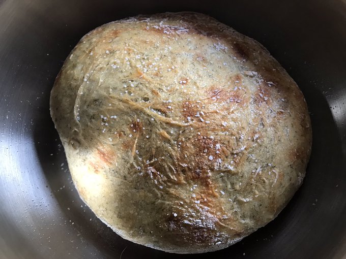 24 hrs later, pickle bread was a delicious success 😍🍞🥒 https://t.co/6MhUuId0Nr<a href="/tag/adoptdontshop"class="tags"><span>#adoptdontshop</span></a>