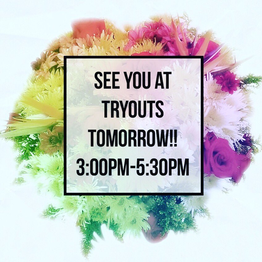 Volcano Vista Cheer (@vvhshawks_cheer) on Twitter photo 