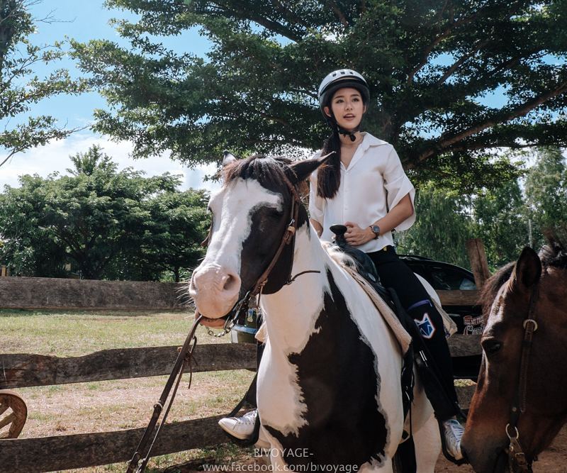 🌿ใบเฟิร์น🌿เอฟซี (@bifernluv) on Twitter photo 