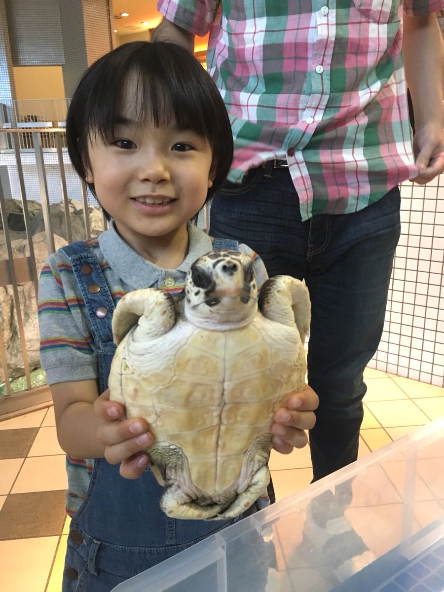 東海テレビ スイッチ Na Twitteru 8月18日 金 のスイッチ は 25周年を迎える 名古屋港水族館 を 水族館大好き ココリコの田中直樹さんと寺田心くんが紹介 新施設やベルーガのトレーニング イルカのパフォーマンスなど見どころたっぷり 出演は ピーコさん 東海テレビ スイッチ Na Twitteru 8月18日 金 のスイッチ は 25周年を迎える 名古屋港水族館 を 水族館大好き ココリコの田中直樹さんと寺田心くんが紹介 新施設やベルーガのトレーニング イルカのパフォーマンスなど見どころたっぷり 出演は ピーコさん